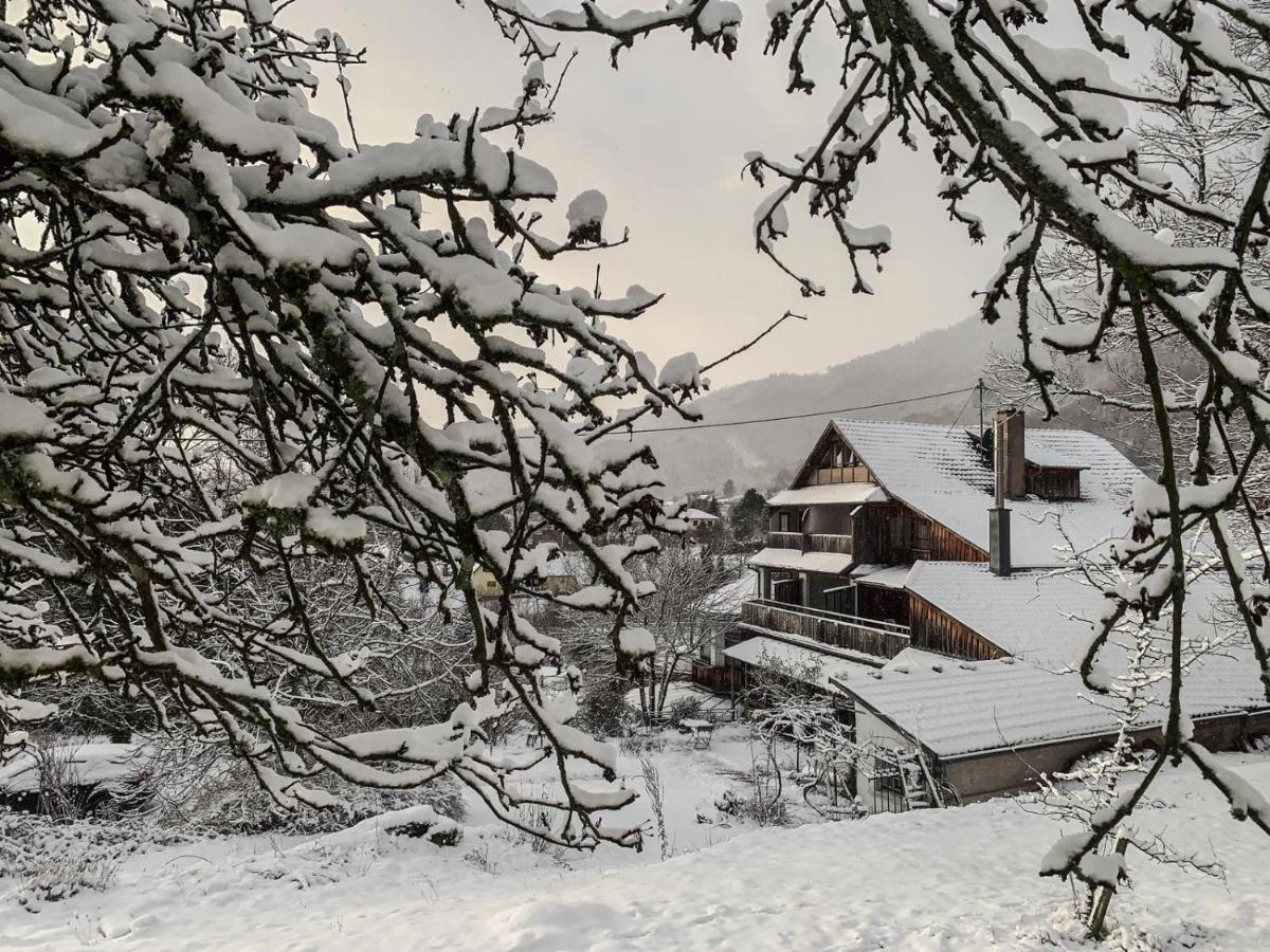 Le Manoir Des Sens - Foret De Bergheim Buitenkant foto