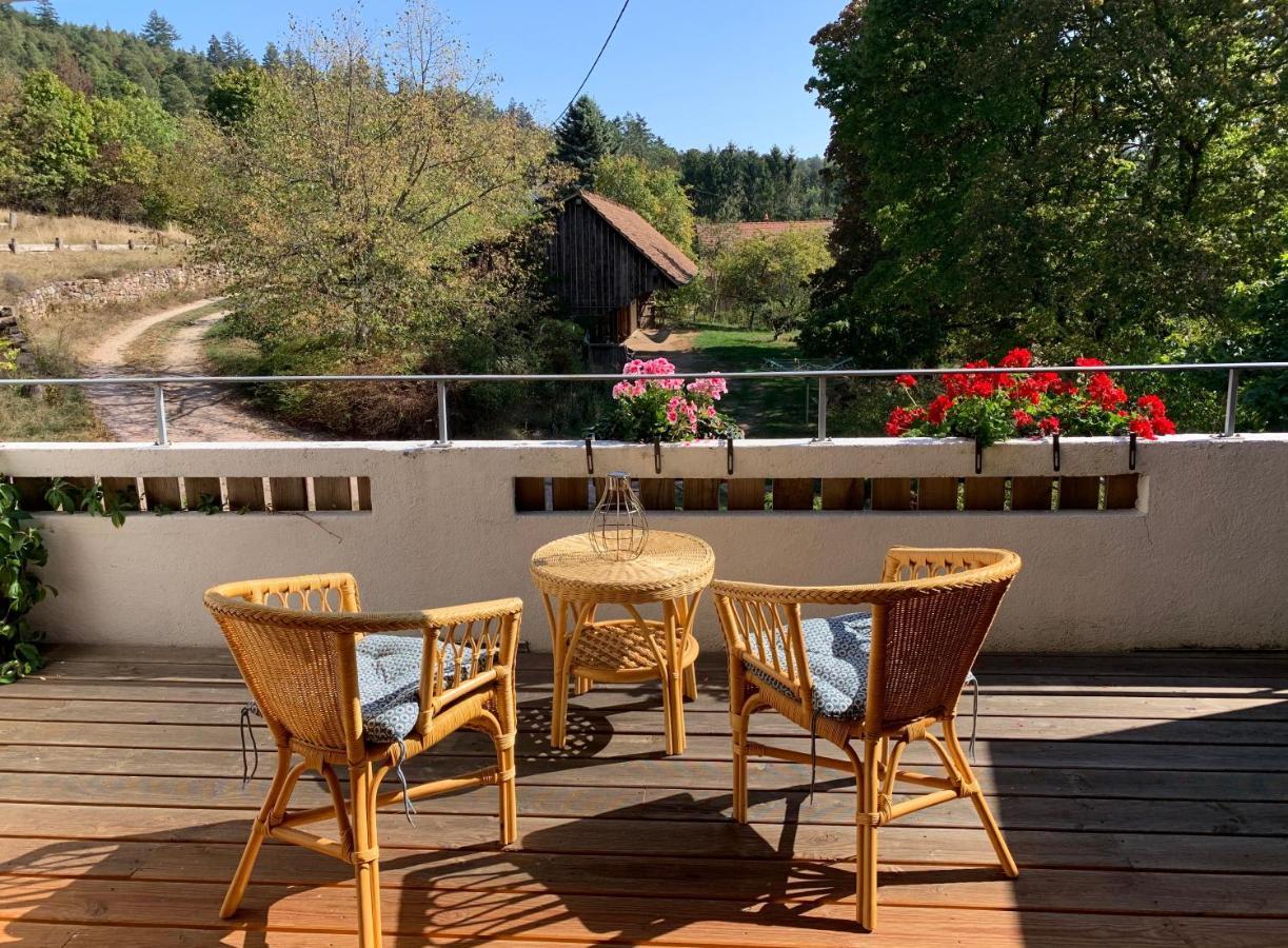 Le Manoir Des Sens - Foret De Bergheim Buitenkant foto