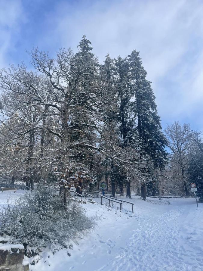 Le Manoir Des Sens - Foret De Bergheim Buitenkant foto