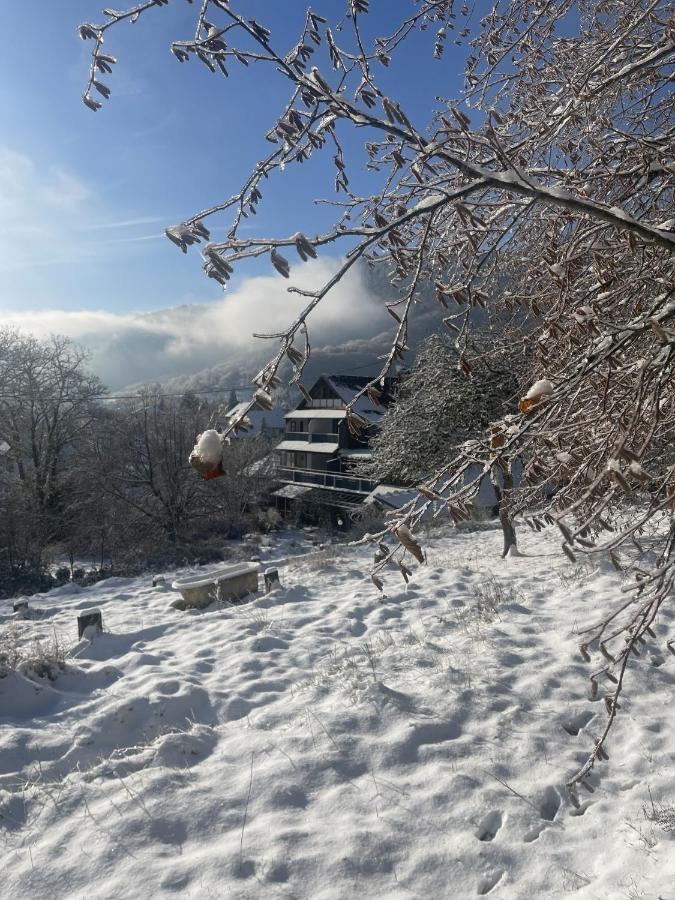 Le Manoir Des Sens - Foret De Bergheim Buitenkant foto